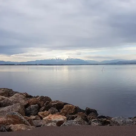 Appartement Cap Coudalere Le Barcarès